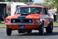 IMG_7879.jpeg