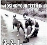IMG_4240.jpeg