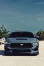 IMG_8146.jpeg