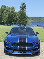 IMG_2317.jpeg