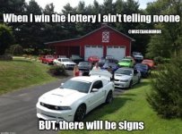 IMG_8354.jpeg