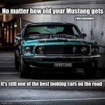 IMG_8342.jpeg