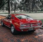 IMG_8124.jpeg