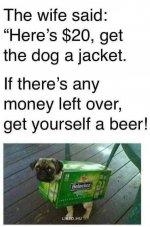 IMG_4393.jpeg