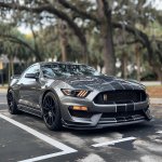 IMG_7740.jpeg
