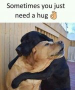 IMG_8691.jpeg