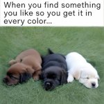 IMG_9111.jpeg
