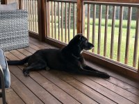 IMG_8324.jpeg