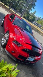 IMG_9055.jpeg