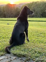 IMG_9763.jpeg