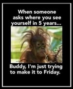 IMG_9911.jpeg