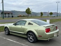 IMG_0207.jpeg