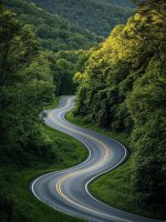 IMG_0302.jpeg