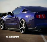 IMG_0310.jpeg