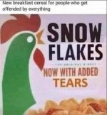 1730318501285.png
