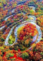 IMG_1295.jpeg