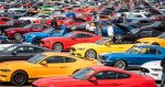 New-world-record-1326-Ford-Mustangs-form-the-longest-parade-ever-seen-in-Lommel-belgium.jpg