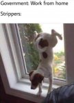 FB_IMG_1585341455492.jpg