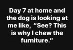 FB_IMG_1585392320083.jpg