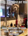 FB_IMG_1585831125970.jpg
