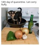 FB_IMG_1585871698694.jpg