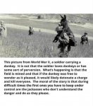 FB_IMG_1585955924536.jpg
