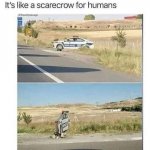 FB_IMG_1586515343583.jpg