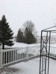 99239DF9-B0CD-4096-BC20-FA420C0AD7DF.jpeg
