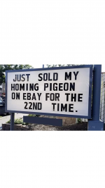 1735419402833.png