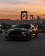 IMG_1727.jpeg