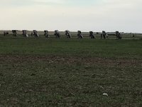 IMG_0656.jpeg