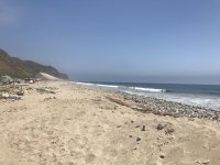 IMG_0447.jpeg