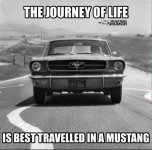 IMG_2893.jpeg