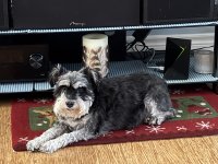 IMG_1958.jpeg