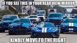IMG_3174.jpeg