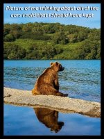 IMG_3245.jpeg