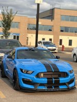 IMG_2413.jpeg