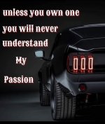 IMG_3251.jpeg