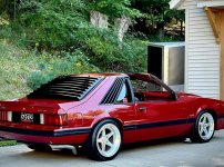 IMG_2850.jpeg
