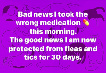 1743153818430.png