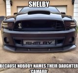 IMG_3441.jpeg