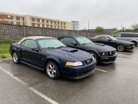IMG_4863.jpeg