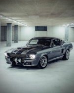 IMG_2573.jpeg