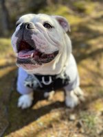 IMG_5026.jpeg
