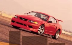 IMG_2598.jpeg