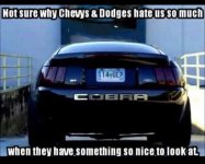 IMG_3529.jpeg