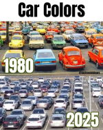 1744055535048.png
