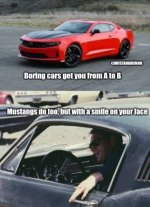 IMG_3554.jpeg