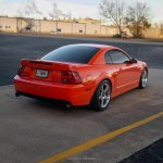 IMG_2639.jpeg