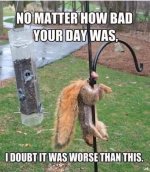 IMG_9275.jpeg